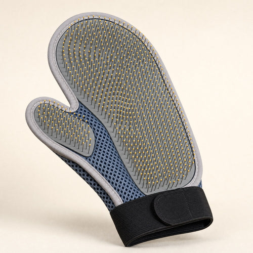 The grooming mitt showing its densely pinned palm panel, separate thumb panel, mesh body and elastic wrist strap