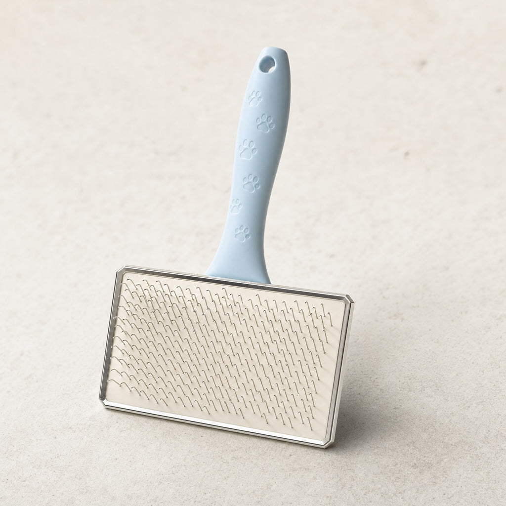 A pet grooming slicker brush with a pale blue handle